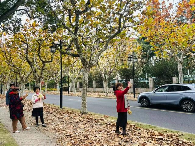 还有一周，快去打卡