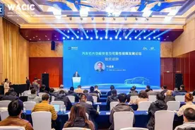 【深度报道】汽车芯片功能安全与可靠性，如何保障？图片