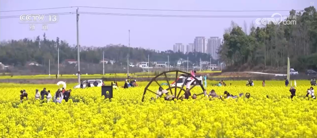 各地非遗民俗“串珠成链”点亮佳节 “到中国过春节”成为新潮流新风尚