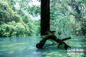 “地球奇旅”中国首展落地北京, 沉浸式探索自然漫游地球图片