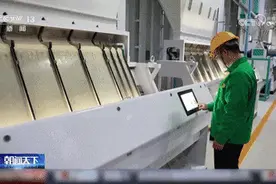 或将达8400亿斤！中国人把饭碗牢牢端在自己手中→图片
