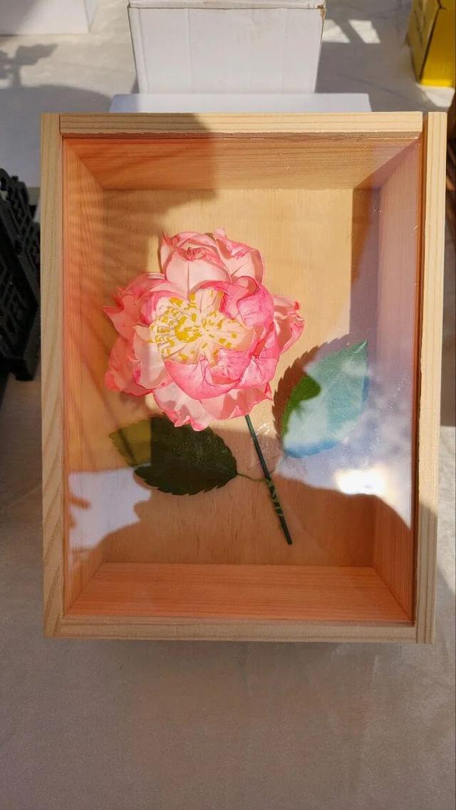 高能预警！现场直击丰顺绝美花墙、花路...