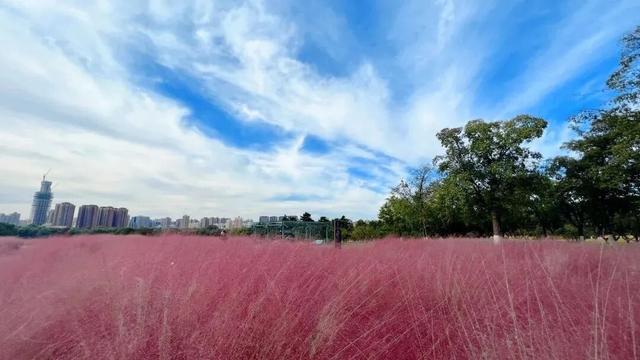 西安上新！高颜值秋景，正在加载！
