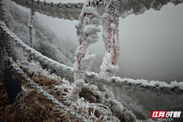 组图丨琼枝玉树映飞山 靖州雾凇绘就冬日诗画