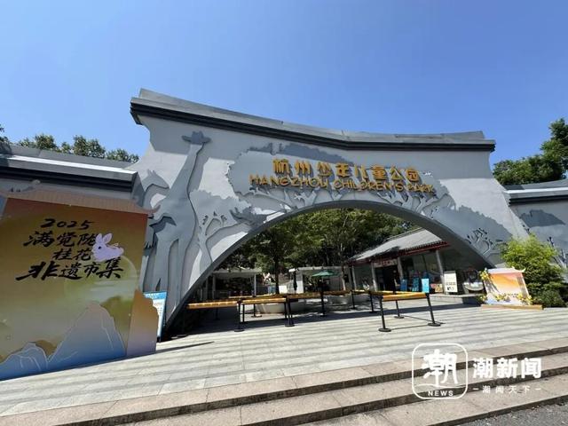 今早，杭州今年“第一桂”开了！将迎“满陇桂雨”美景