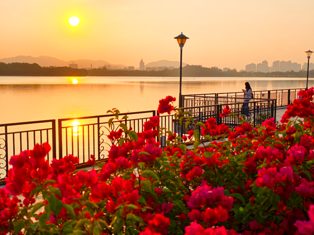 肇庆网红打卡地出炉！星湖入选的是→