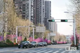 处处姹紫嫣红 安庆打开“春日浪漫”模式图片