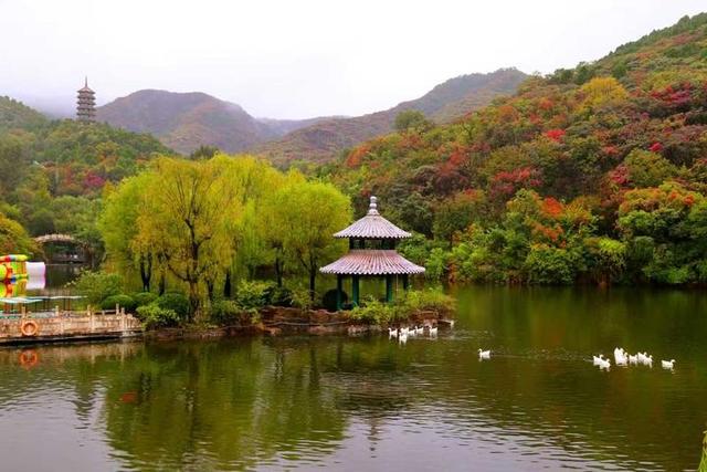 秋雨润红叶，红叶谷第25届红叶节等您来