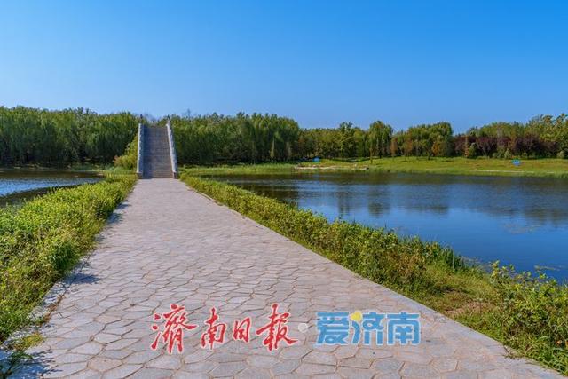 一年四季 泉在济南丨初秋玉符河：水碧草青，绘就生态好风光