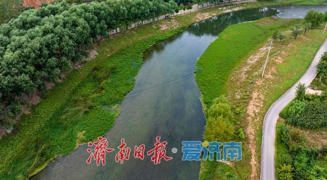 一年四季 泉在济南丨初秋济南玉符河畔：水清草盛景如画