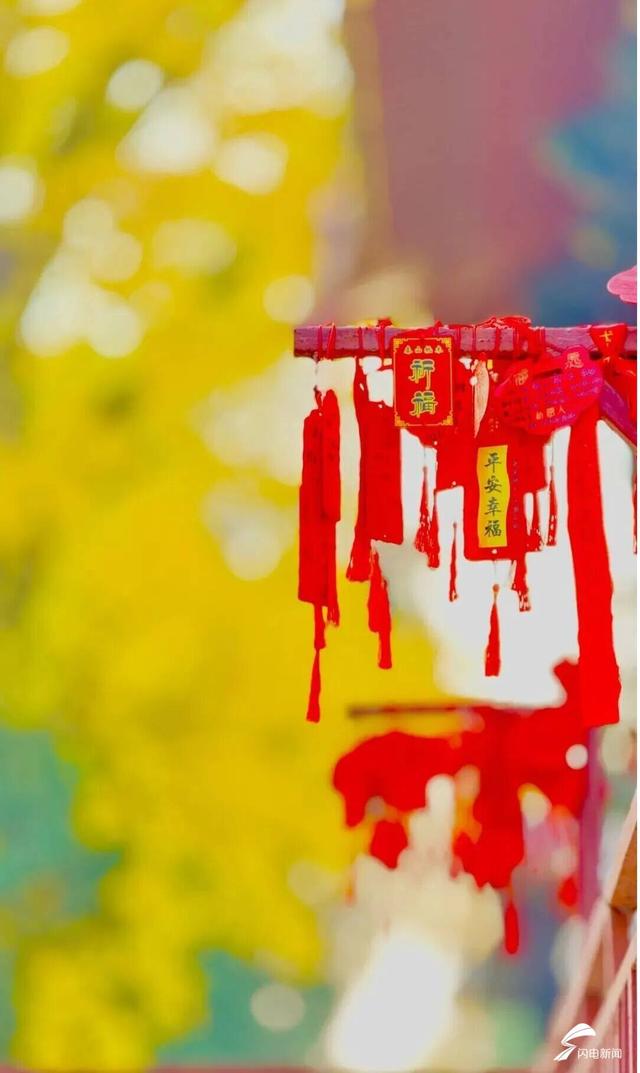 组图丨岱庙初冬美如诗 银杏书写“暖冬情书”