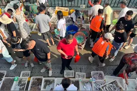 海螺、梭子蟹、皮皮虾……开海后海鲜上新！最新价格来了图片