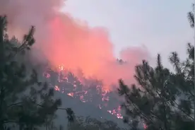 重庆云阳发生山火，9个小时后仍在紧张扑救中图片