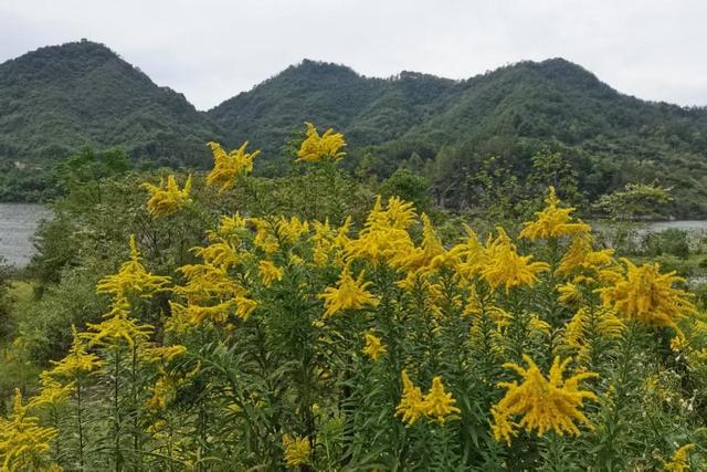 晚潮｜潜明水库三笺