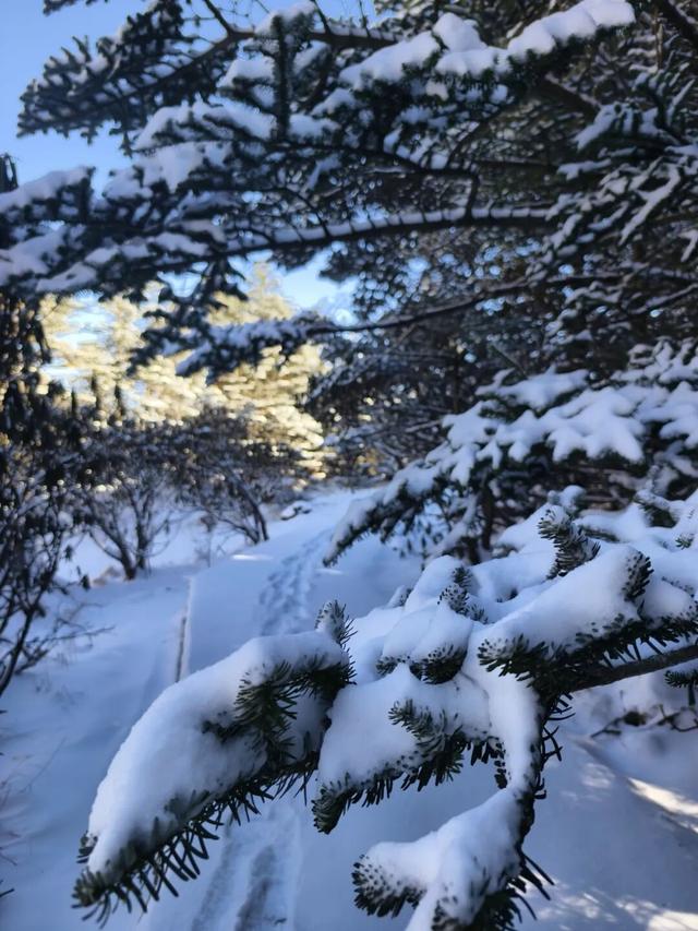 【冬季暖阳 凉山不凉】2025四川省冬季旅游季热启！凉山文旅福利大放送，解锁暖冬之旅！