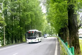 休宁县：打造绿美公路 让“出行路”变“幸福路”图片