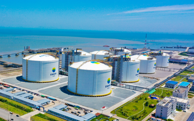 来自30个国家！他们齐聚舟山！