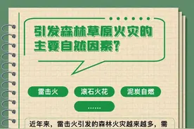【森林防火】防患未“燃”，森林火灾十问十答→图片
