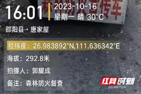 邵阳县郦家坪镇：常态化巡查 筑牢森林安全防火墙图片