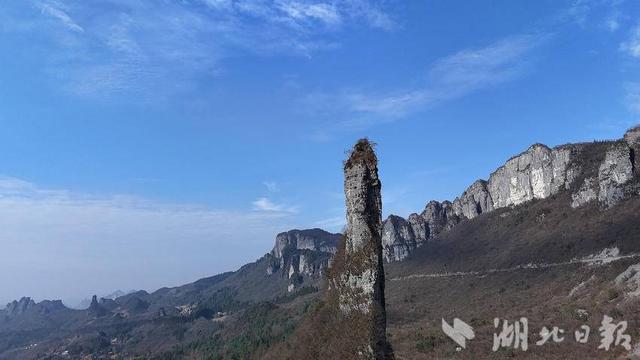 恩施市：朝天雄笋凌冬立 板桥奇景入画来