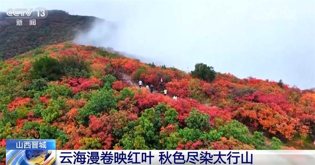 五彩斑斓意，层林尽染秋！锦绣山河美 赏秋正当时
