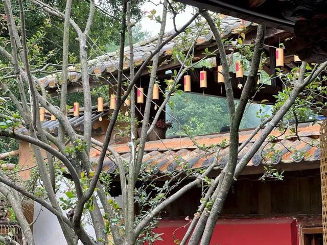 昆明人私藏的治愈系中式庭院就在金殿后山