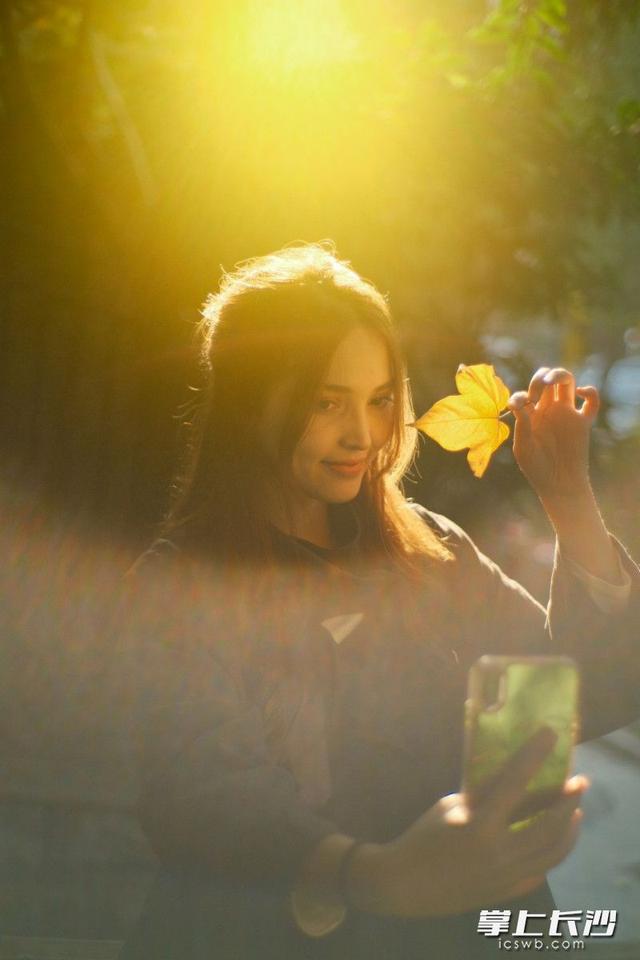 湖南农大枫叶进入最佳观赏期，错过等一年