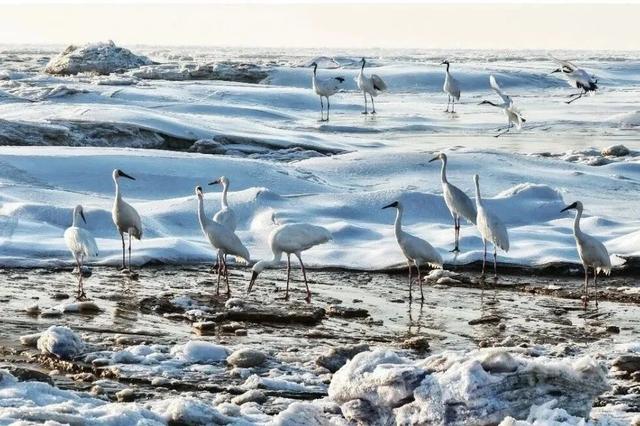 凝冬之境：辽宁冰瀑玉带与冻海蓝冰的限定交响