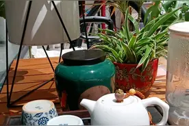 窗小不幽记|茶不是用来喝的图片