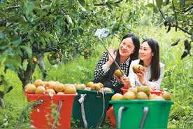 越来越多山里货、土特产将在电商平台热销图片