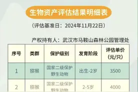武汉一森林公园公告出售20只猕猴！最低3000元一只，园方回应图片