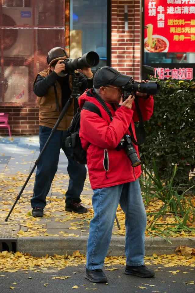 "全上海人都来了吧…"今天这条路什么情况？大堵车！还有30万人抢破头↗