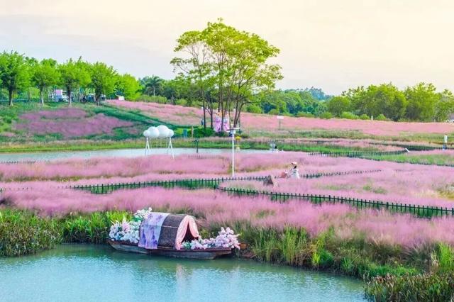 南宁就是冬日旅游天花板！摘果+跑马+演唱会+美景打卡，带你玩转“水果自由”之旅