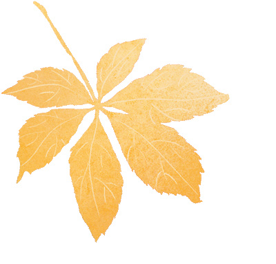 【游蓟攻略】赴梨木台一程秋色，享旅途一路暖心