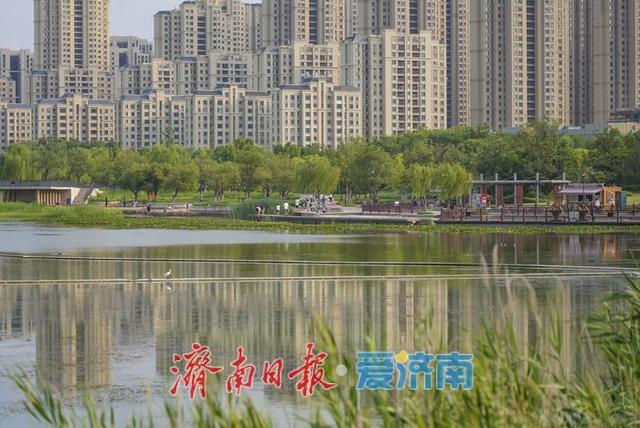 一年四季 泉在济南丨水清岸绿、草木葱茏！初秋华山湖畔诗意浓