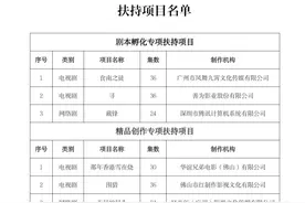 10个广东影视项目获专项资金！权威解读：钱怎么来？该怎么用？图片