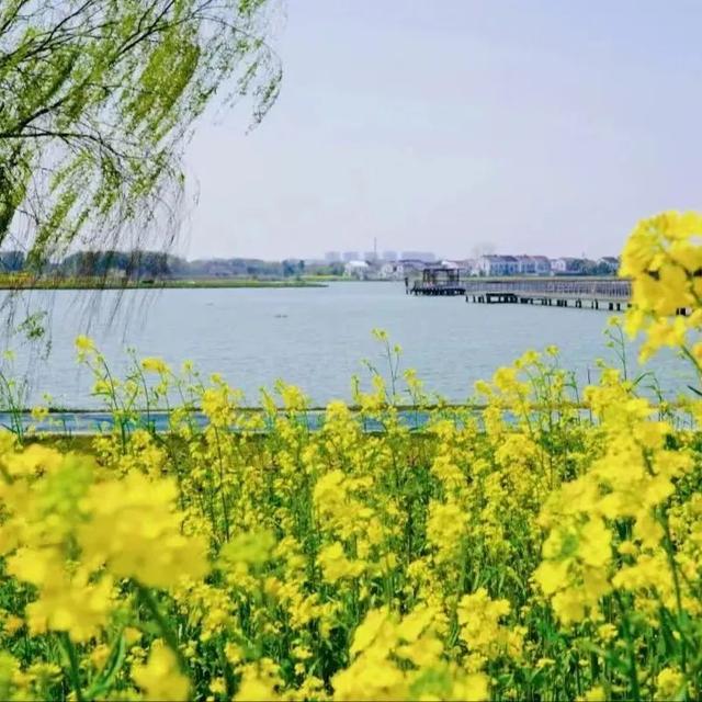 正式获批！无锡省级旅游度假区+1