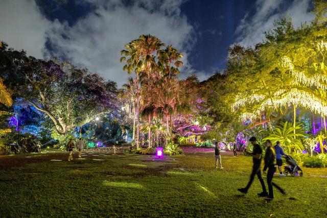 （外代二线）“夜间公园”灯光秀