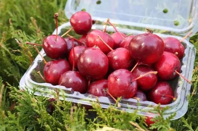 门票全免，美食畅吃！别再说冬天没地方去了，这儿的冬景太绝了…