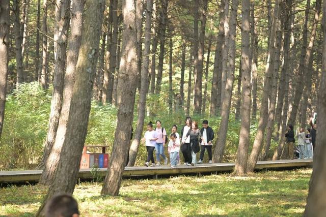 错峰慢游净月潭 独享秋日山水 寻回生活诗意