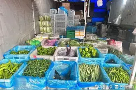 济南菜价遇“冷”后渐走高图片