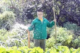 村村有好戏|烟台高新区：“地瓜老李”的土地情图片