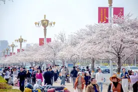 这趟旅游列车本月开通 途经潍坊 指南来了图片