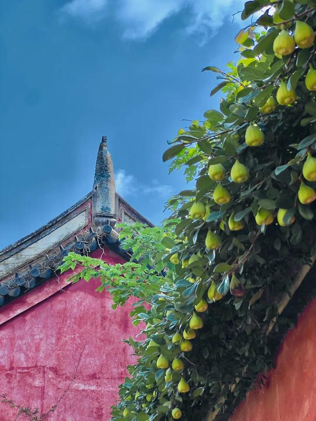 来菏泽不去这些地方？那就亏大了！