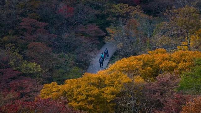 新免票政策！专属中小学生秋假免票福利