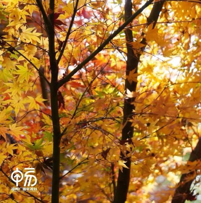 红了！红了！不少人都出动了...