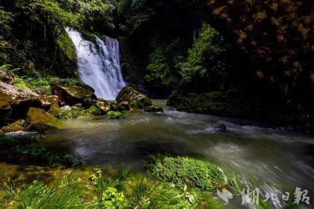 巴东金果坪：饮水水源地绘就生态画卷