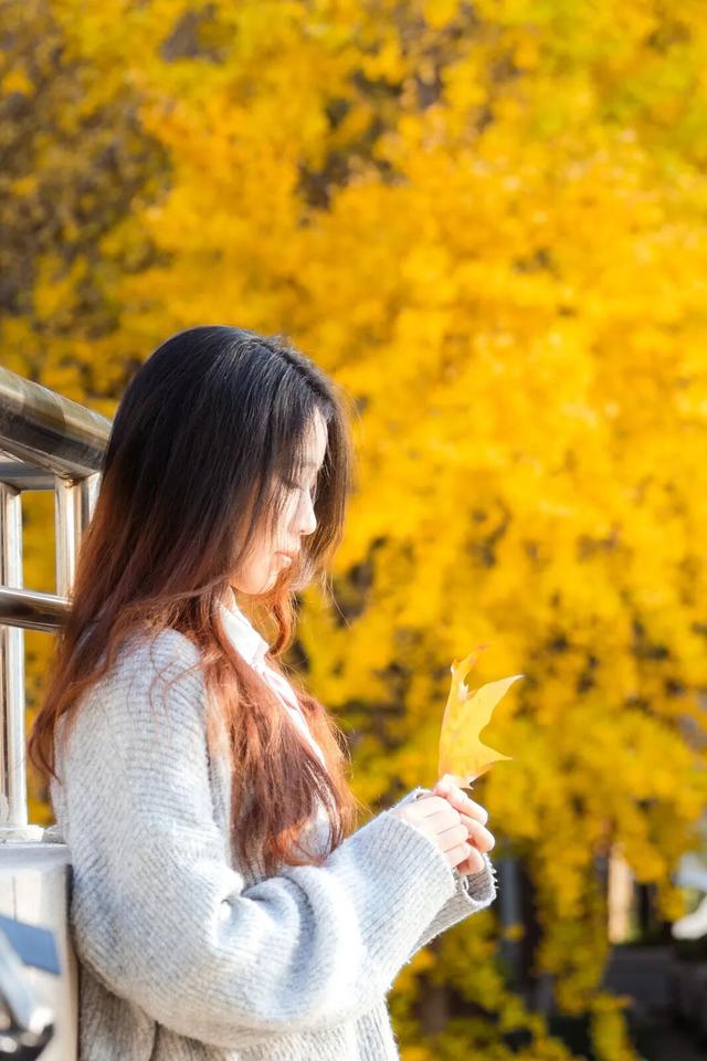 限时绝美！年度顶流！