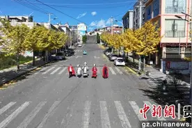 贵州赫章：有“杏”遇见你图片