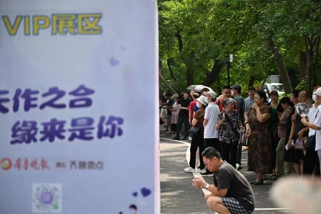 七夕登山遇良缘！千佛山相亲大会报名截止至8月20日，单身速来